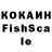 Галлюциногенные грибы мицелий Totok Kacong