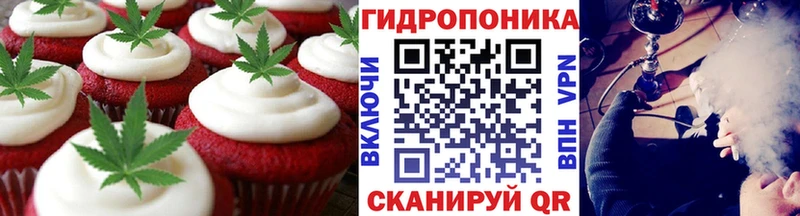 дарнет шоп  Озёрск  Cannafood конопля 