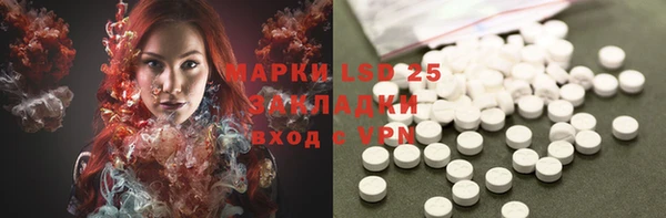 ECSTASY Богородицк