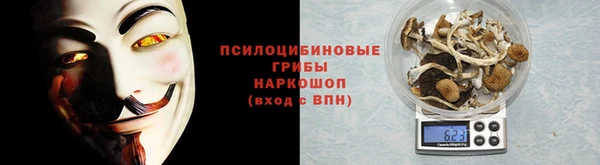 ГАЛЛЮЦИНОГЕННЫЕ ГРИБЫ Белоозёрский