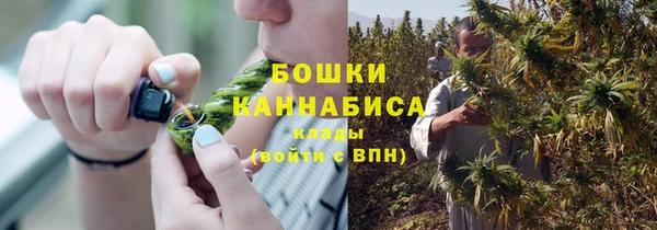 ГАЛЛЮЦИНОГЕННЫЕ ГРИБЫ Белоозёрский