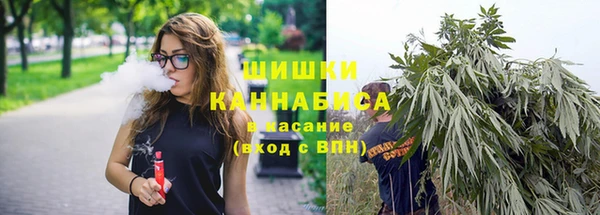 ГАЛЛЮЦИНОГЕННЫЕ ГРИБЫ Белоозёрский