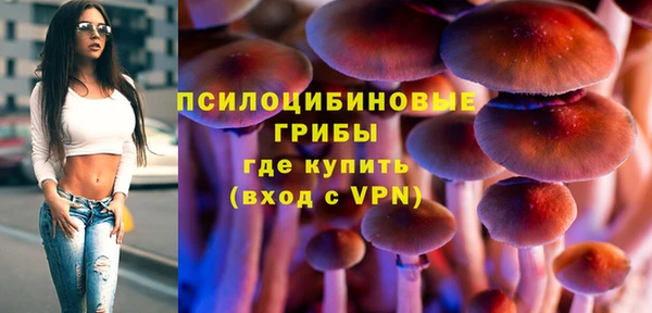ECSTASY Богородицк