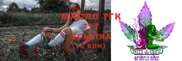 ECSTASY Богородицк