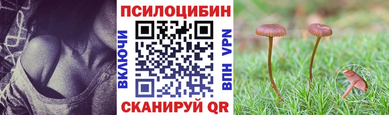 ОМГ ОМГ онион  Озёрск  Псилоцибиновые грибы мицелий 